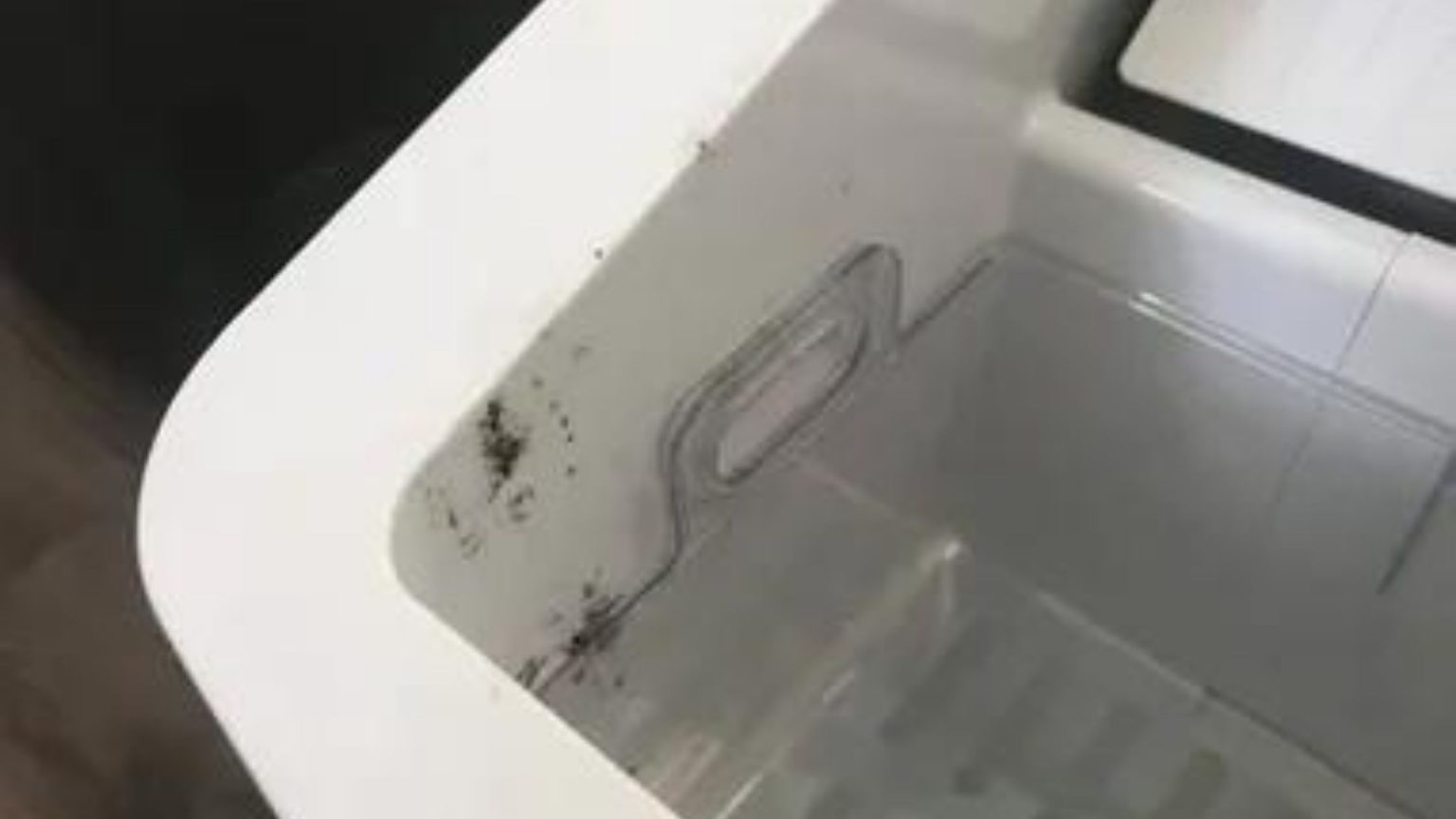 Clean Mold in A Portable Ice Maker