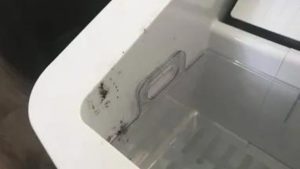 Clean Mold in A Portable Ice Maker