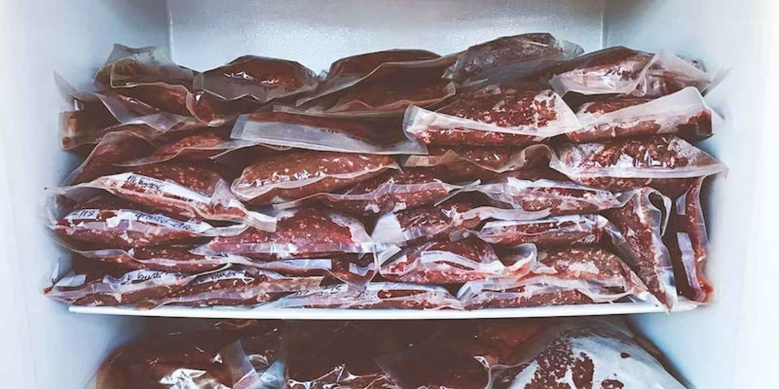 best freezer for a hunter
