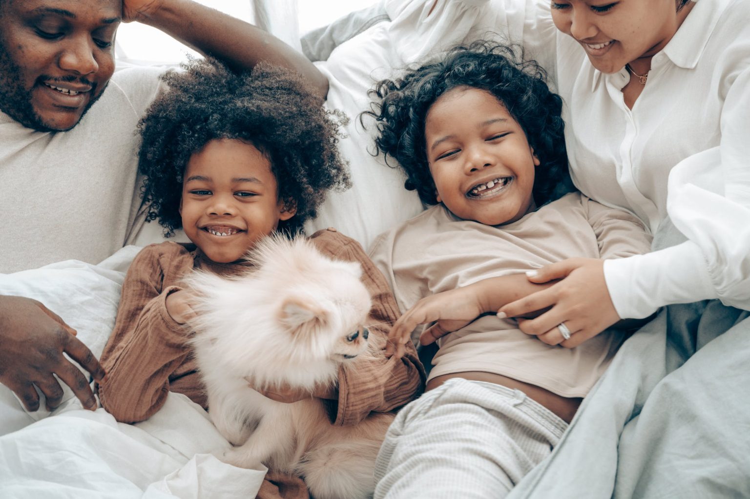 Should I Purchase a family dog?