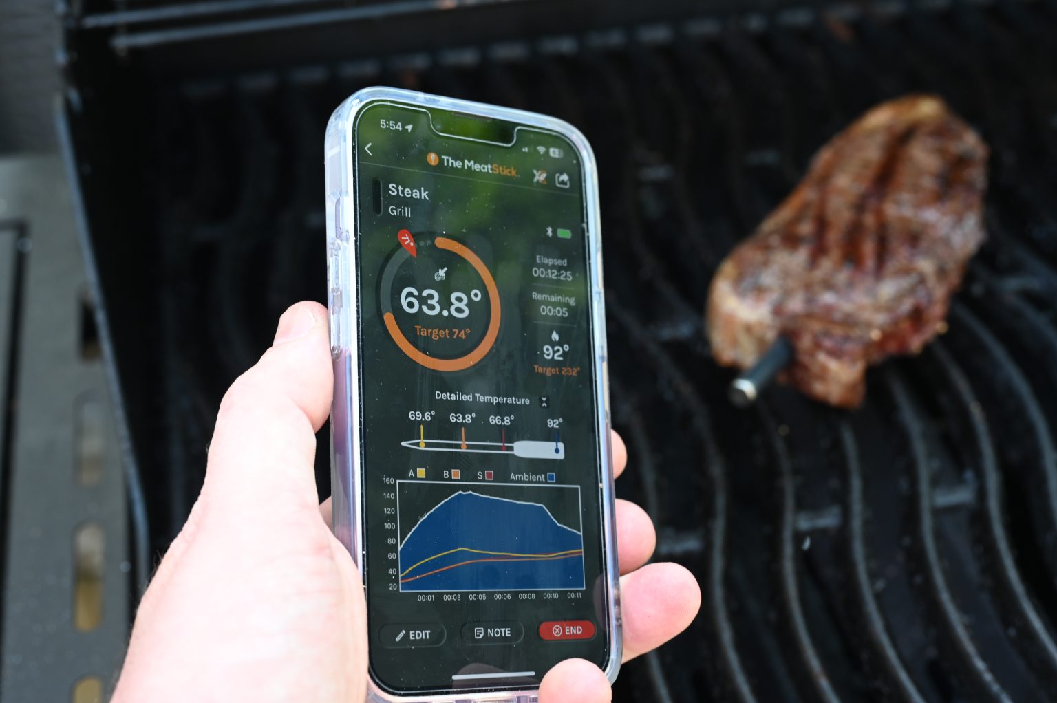 The MeatStick 4X Review: The Best Wireless Bluetooth Thermometer?